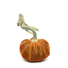 Load image into Gallery viewer, Velvet Pumpkin 8"-Becket Hitch
