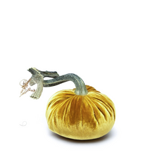 Load image into Gallery viewer, Velvet Pumpkin 8"-Becket Hitch

