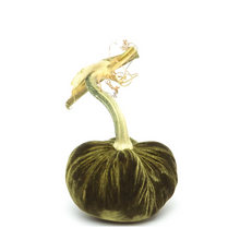 Load image into Gallery viewer, Velvet Pumpkin 8"-Becket Hitch
