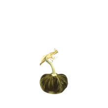 Load image into Gallery viewer, Velvet Pumpkin 3&quot;-Becket Hitch
