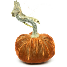 Load image into Gallery viewer, Velvet Pumpkin 6&quot;

