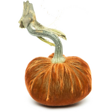 Load image into Gallery viewer, Velvet Pumpkin 8&quot; _ Becket Hitch
