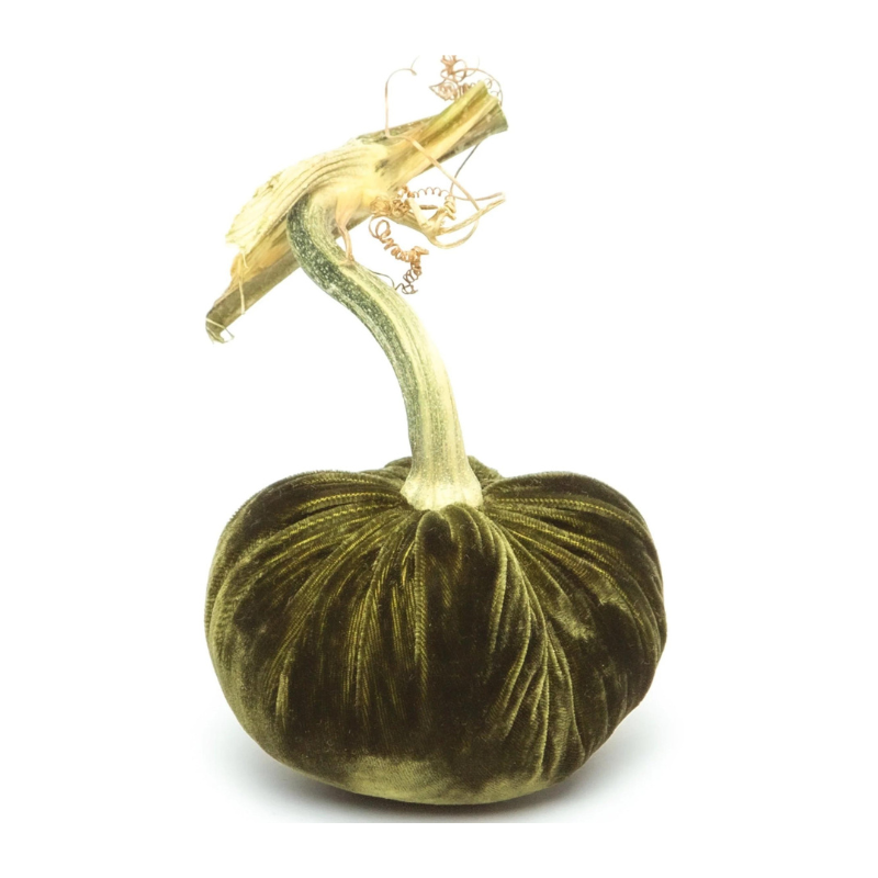 Velvet Pumpkin 10