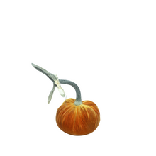 Load image into Gallery viewer,  Velvet Pumpkin 4&quot;-Becket Hitch
