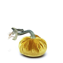 Load image into Gallery viewer, Velvet Pumpkin 8&quot;-Becket Hitch
