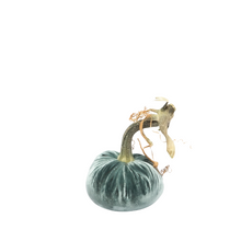 Load image into Gallery viewer, Velvet Pumpkin 5&quot;-Becket Hitch
