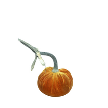 Load image into Gallery viewer, Velvet Pumpkin 5&quot;-Becket Hitch
