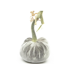 Load image into Gallery viewer, Velvet Pumpkin 8&quot;-Becket Hitch
