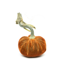 Load image into Gallery viewer, Velvet Pumpkin 8&quot;
