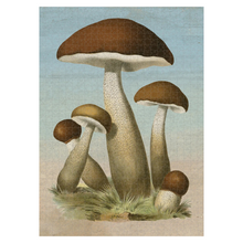 Load image into Gallery viewer, John Derian Mushrooms Puzzle
