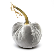 Load image into Gallery viewer, Grey Jumbo Velvet Pumpkin-Becket Hitch
