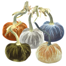 Load image into Gallery viewer, Velvet Pumpkin 10&quot;-Becket Hitch
