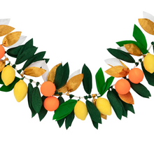 Load image into Gallery viewer, Citrus Fruit Garland
