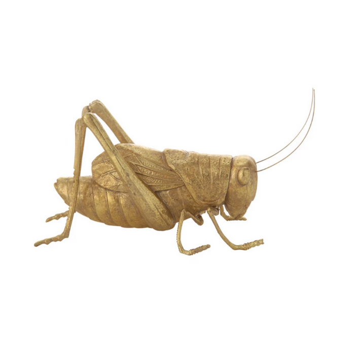 Golden Cricket-Becket Hitch