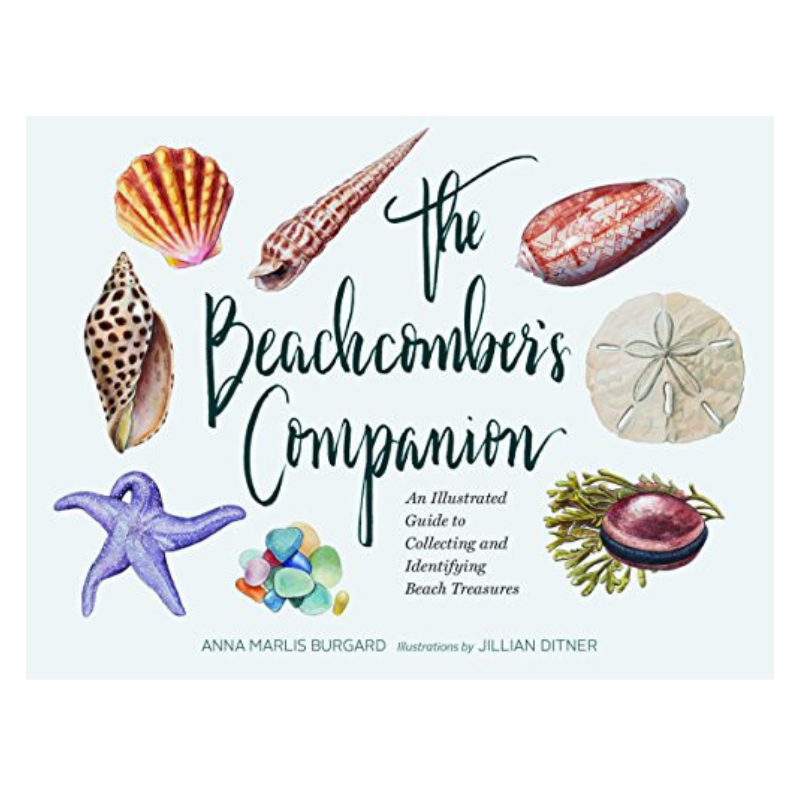 The Beachcombers Companion